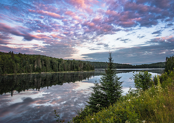 Sunrise in Algonquin