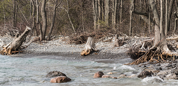 Prince Edward County